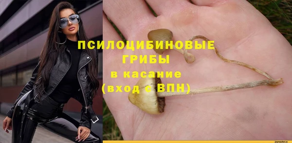соль курить ск Новозыбков