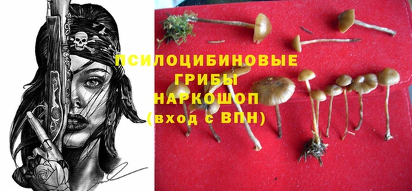 соль курить ск Новозыбков
