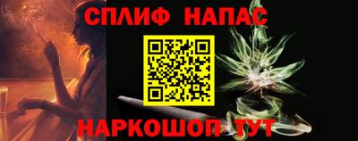 Альфа ПВП Дубна
