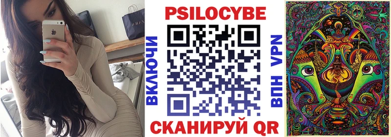 Галлюциногенные грибы Psilocybe кракен как зайти Тольятти
