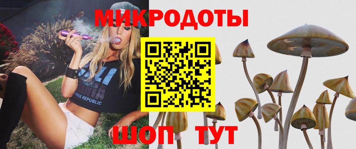 Псилоцибиновые грибы Psilocybe Тольятти