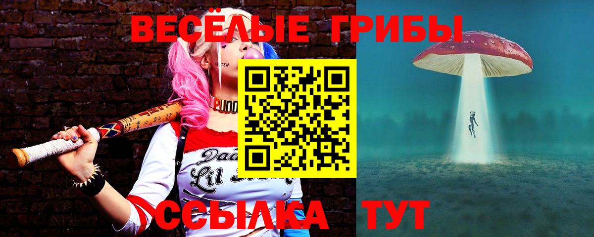 Галлюциногенные грибы Cubensis Тольятти