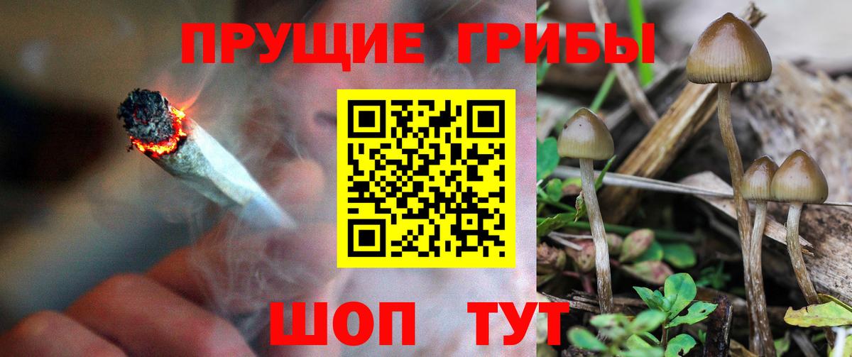 Псилоцибиновые грибы ЛСД  Тольятти 