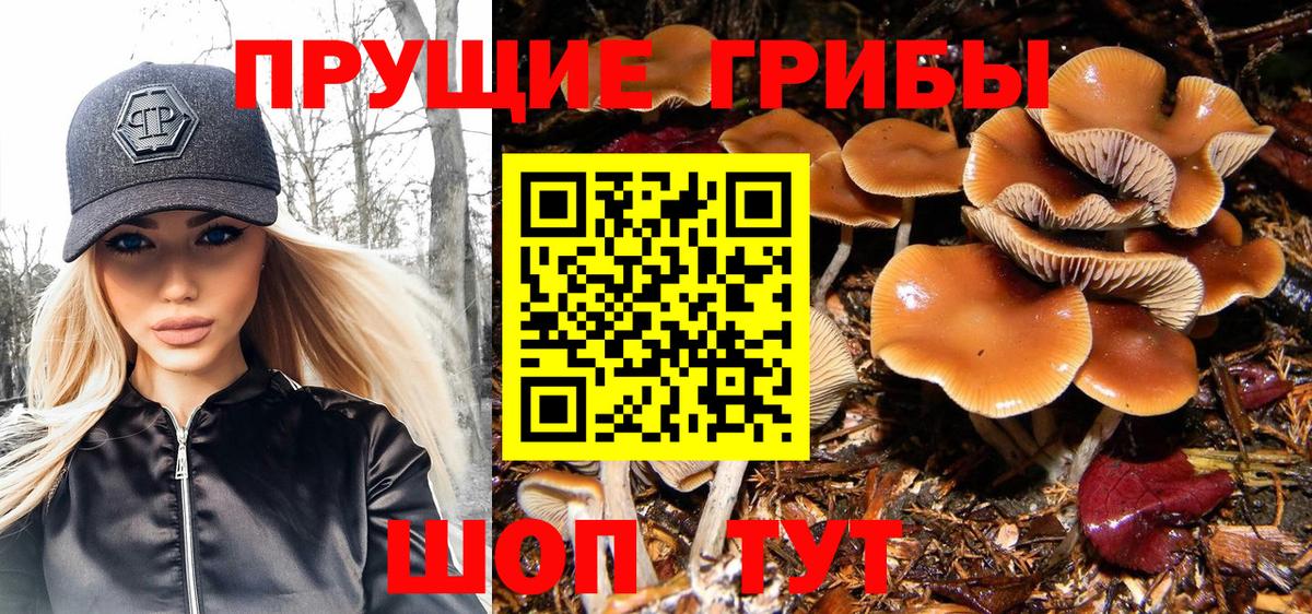 Галлюциногенные грибы ЛСД  Галлюциногенные грибы MAGIC MUSHROOMS  Вход с VPN  Тольятти 